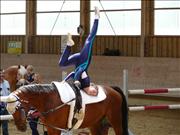 voltitag 2009 _CD1 100